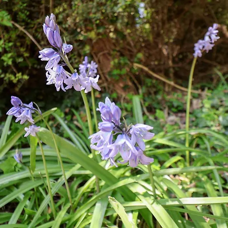 The Haven Casa de Férias *