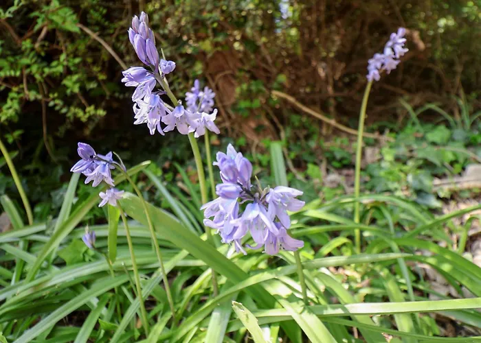 The Haven Dom wakacyjny *